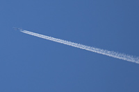 G-DBCB